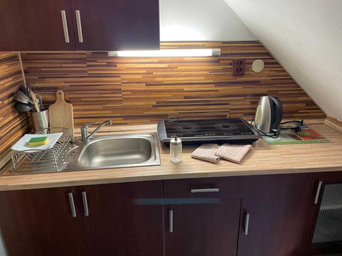 Apartment Ve Dvore